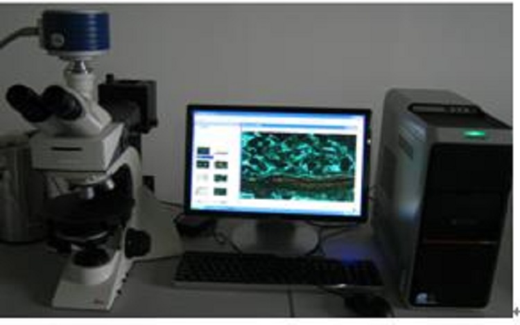 DLTB-600型地質(zhì)流體包裹體冷熱臺(tái)測試裝置